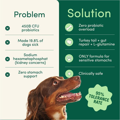 The Dog Dental Powder