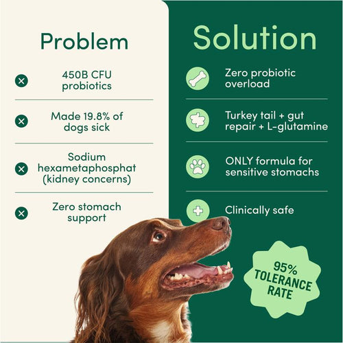 The Dog Dental Powder