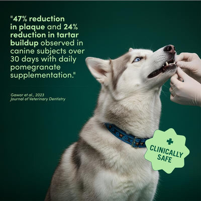 The Dog Dental Powder