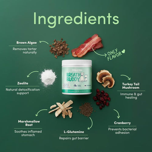 The Dog Dental Powder