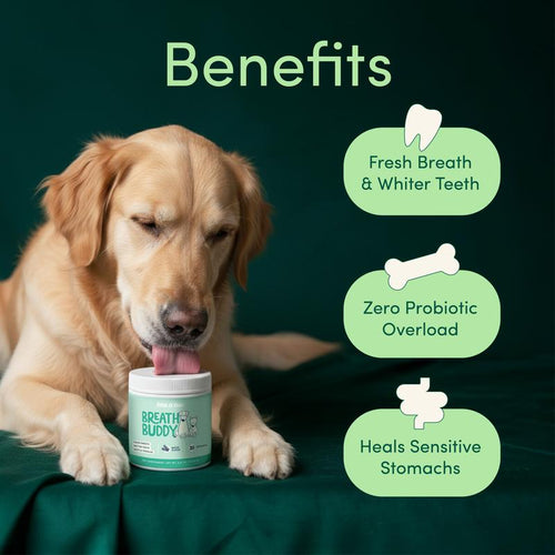 The Dog Dental Powder